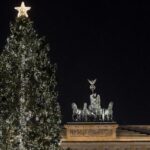 La frondosa historia del árbol de Navidad