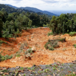 Al menos 16 muertos y 17 desaparecidos dejó un alud de tierra en un campamento turístico de Malasia