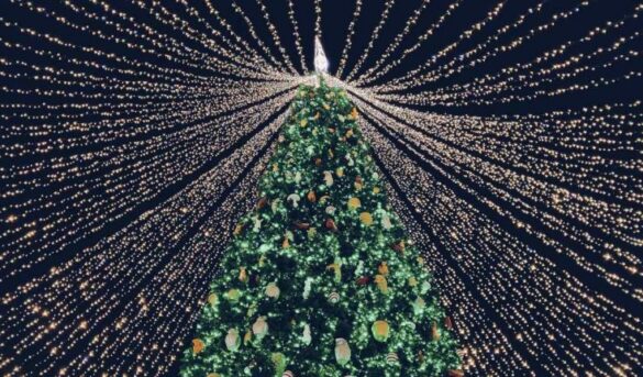 ¿Cuál es el origen del árbol de Navidad?