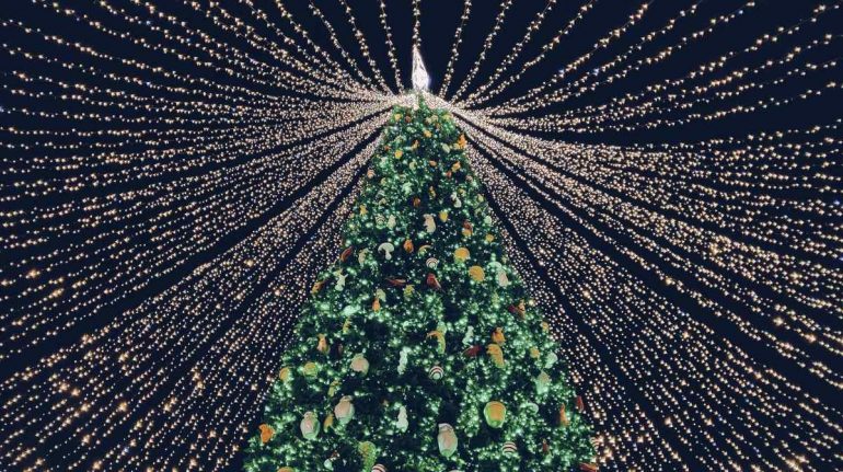¿Cuál es el origen del árbol de Navidad?