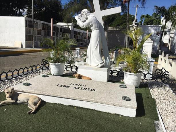 “Turismo” entre tumbas en el cementerio de Santiago