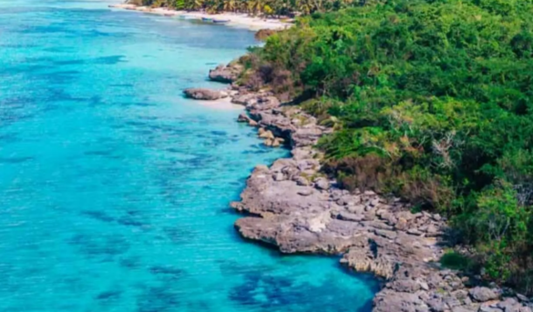 Vusa, una plataforma para hacer turismo que facilitará visitas a los parques nacionales