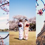 Dónde ver cerezos en flor en todo el mundo: Tokio, Washington, D.C., París y más