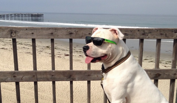 ¿Puede la Inteligencia Artificial organizarnos el viaje ideal?