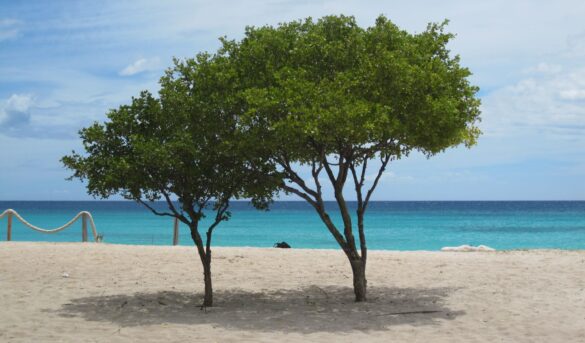 Dominicana: Wyndham construirá un hotel de 110 habitaciones en Cabo Rojo