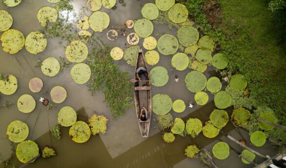 Cómo organizar un viaje al Amazonas, el destino de los grandes exploradores
