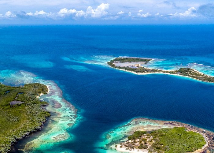 ESPECIAL: Bahamas se alista para carrera de botes dragón