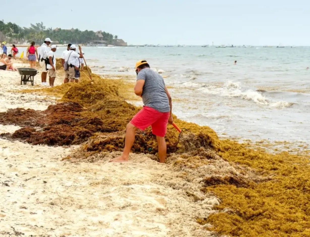 Turismo de sol y playa es afectado por sargazo