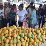 Miles de personas acuden a la feria del mango en Baní