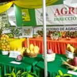 Vídeo: Arranca la Expo Feria del Mango Baní 2023