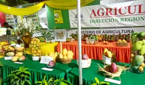 Vídeo: Arranca la Expo Feria del Mango Baní 2023