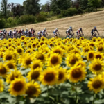 Le Tour de France