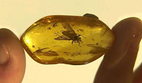 Ámbar: Fuente turística abandonada