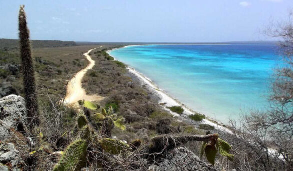 Los nuevos destinos turísticos internos: la otra apuesta del país