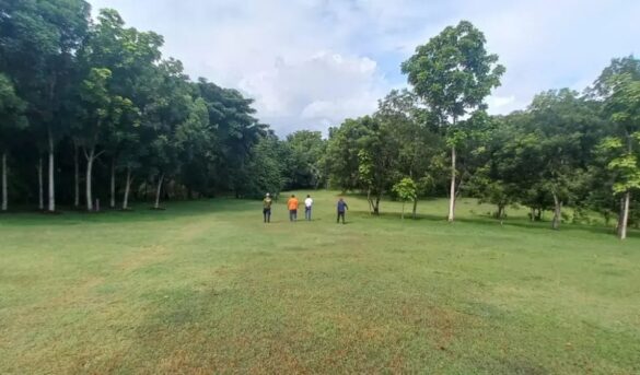 Parque Nacional Humedales del Ozama, ideal para hacer ecoturismo en la ciudad
