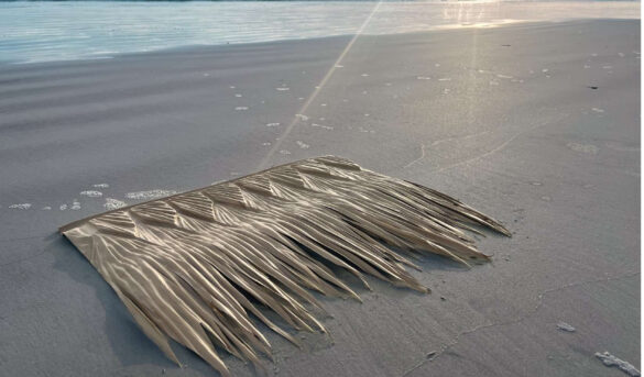 El modelo de techo de Punta Cana ahora con palma sintética viva