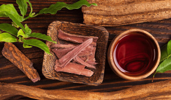 Turismo de Ayahuasca en la Amazonia: Experiencias, Riesgos y Perspectivas Explicadas en un Informe