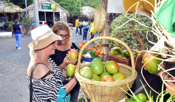 Feria Ecoturística busca dinamizar la economía y ampliar la agricultura
