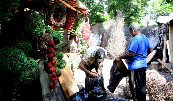 Vendedores de charamicos de la Churchill, listos para llevar la Navidad al DN