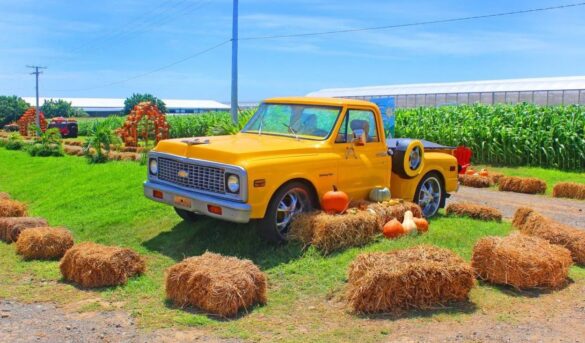 Tierra Tropical: Donde se festejan las cuatro estaciones de manera mágica