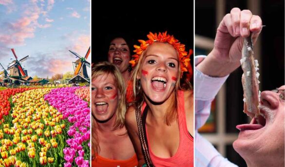 Cosas extrañas, caras o increíbles que solo encontrarás en los Países Bajos