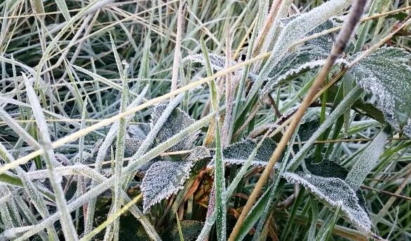 Llegó el frío! Valle Nuevo -4 °C y ciudad de Constanza 10.5 °C
