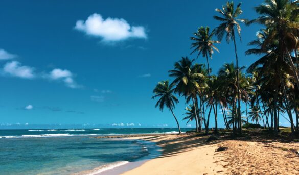 La OMT analiza las oportunidades de inversión en turismo en países de Latinoamérica