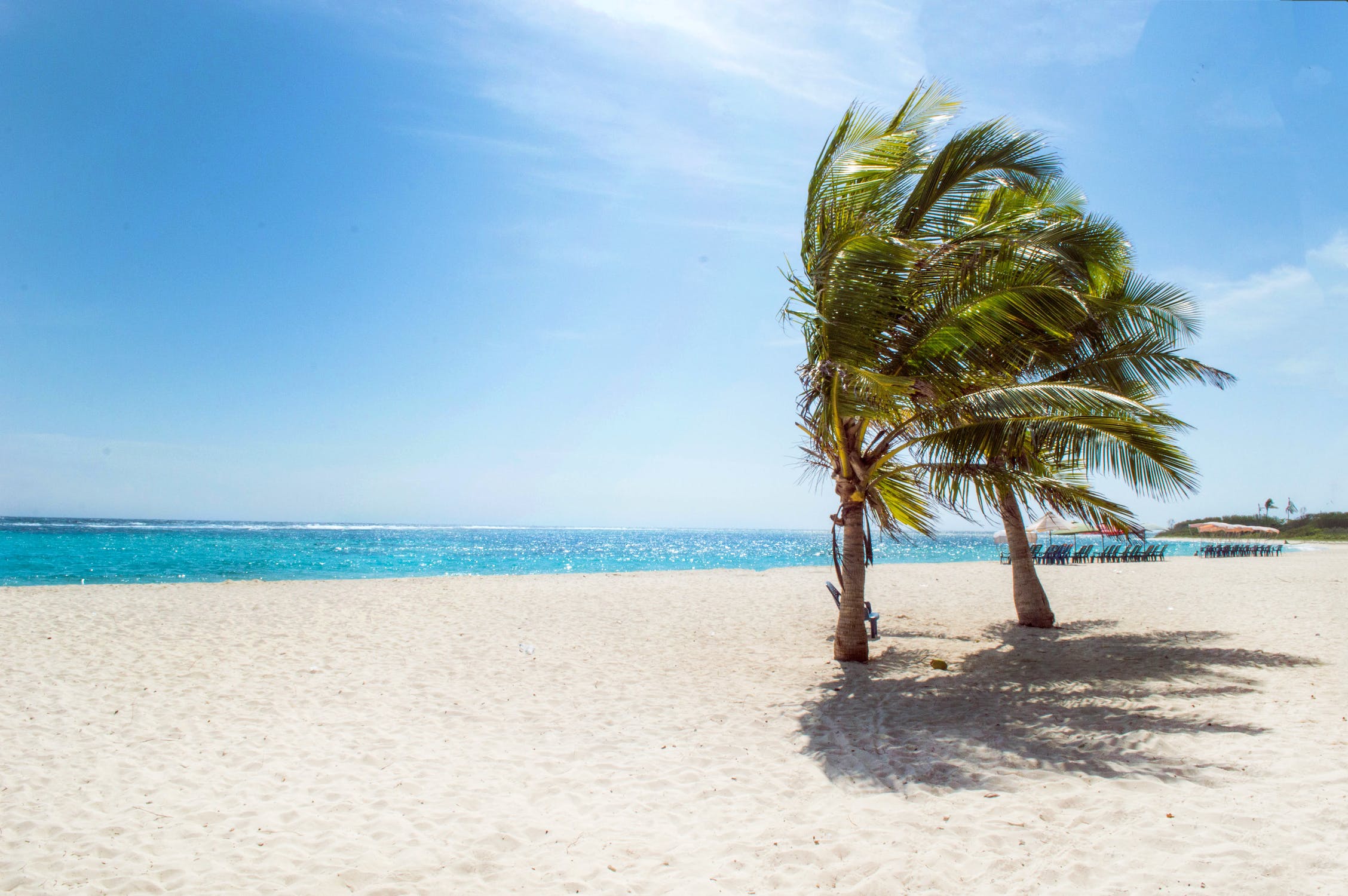 Los clubs de playa imperdibles de Punta Cana