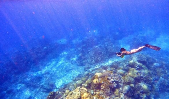 Cómo es vivir en la isla donde todos los días es Navidad