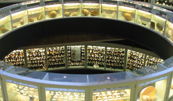 El Museo del Mar, colección de restos naves naufragadas