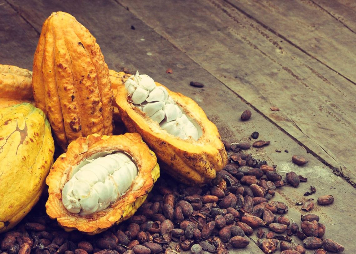 Cacao de República Dominicana atrae en el exterior por su sabor, aroma y calidad