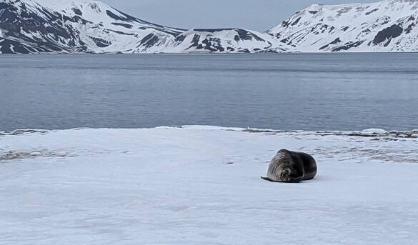 Viajeros del fin del mundo: el único sitio donde no debería haber turistas... está lleno