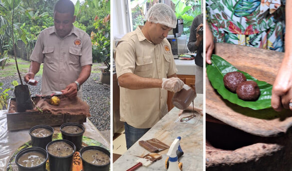 El Sendero del Cacao combina la teoría con la práctica y despierta la parte sensorial