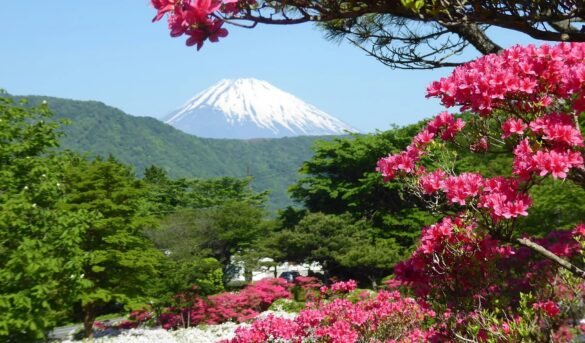 Una montaña de basura: Japón introduce un límite de visitantes en el monte Fuji para combatir la contaminación