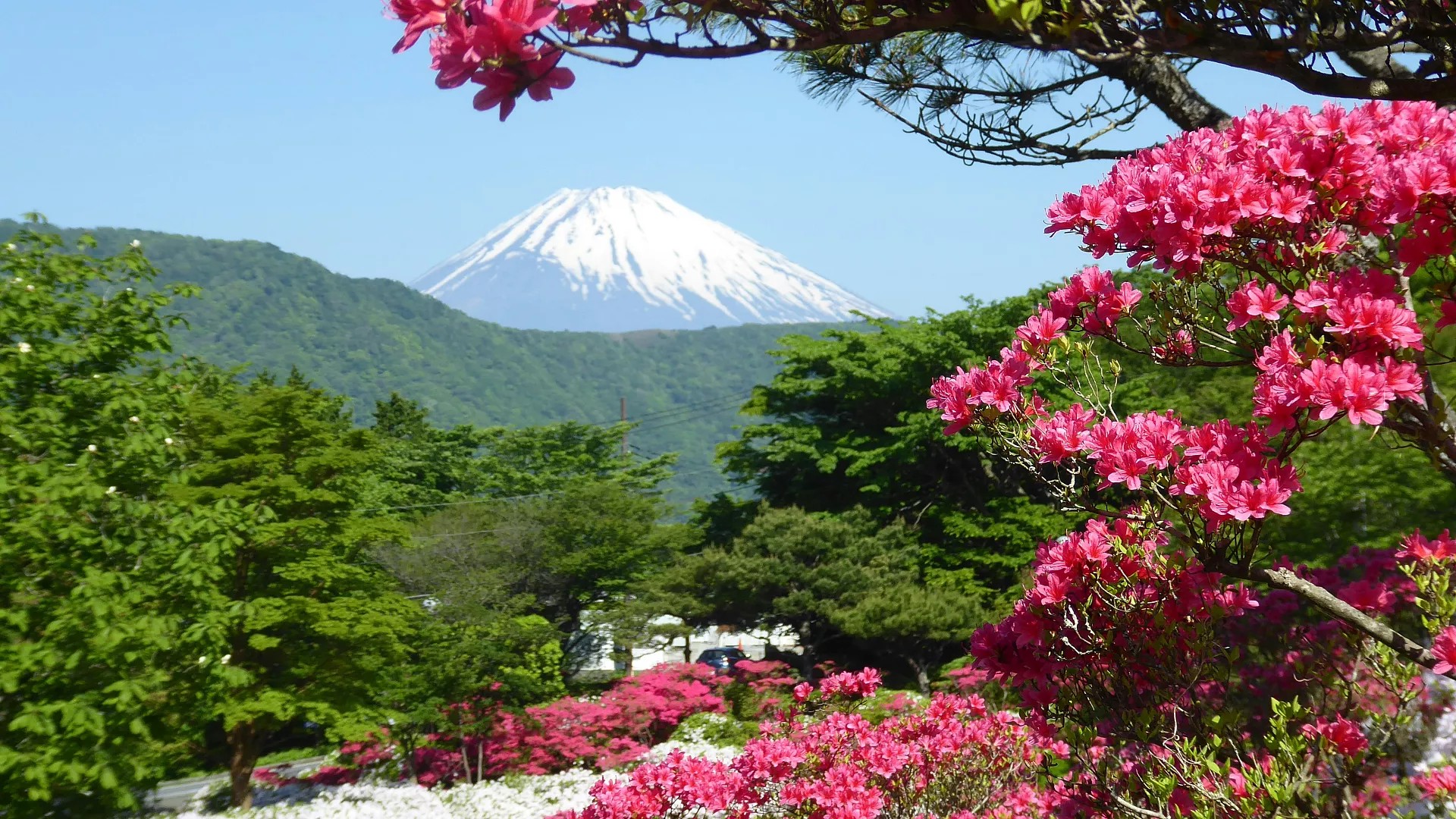 Una montaña de basura: Japón introduce un límite de visitantes en el monte Fuji para combatir la contaminación