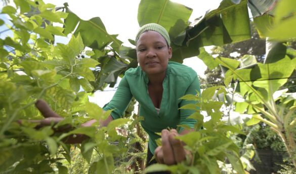 La agricultura como aliada para emprendimientos turísticos