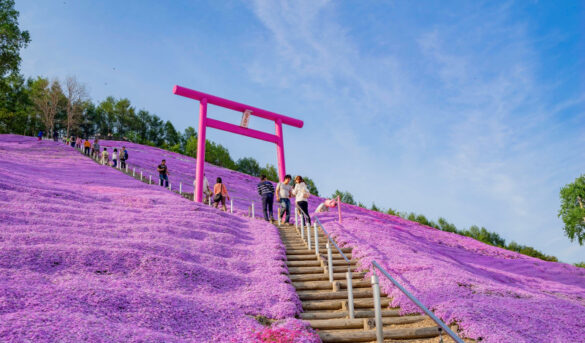 América y Japón, joyas naturales del turismo ecológico