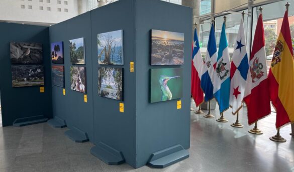 Exponen belleza del lago Enriquillo y Los Haitises para sensibilizar sobre efectos del cambio climático