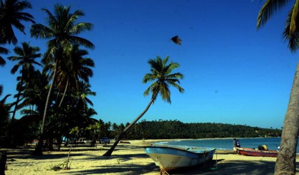 Playa Cambiazo: una joya de la naturaleza atrapada en el tiempo, arena, sol y olvido