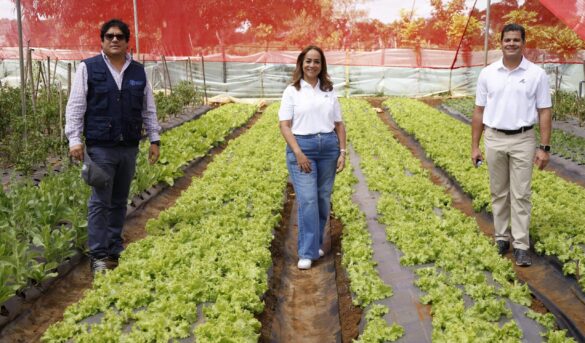 Impulsar venta productos frescos para sector turismo