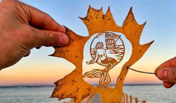 El Arte De Las Hojas: Cuando La Creatividad Se Encuentra Con La Naturaleza