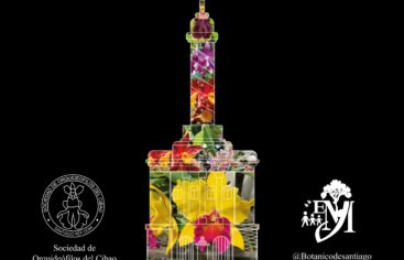 SANTIAGO: Festival de las orquídeas en el Jardín Botánico