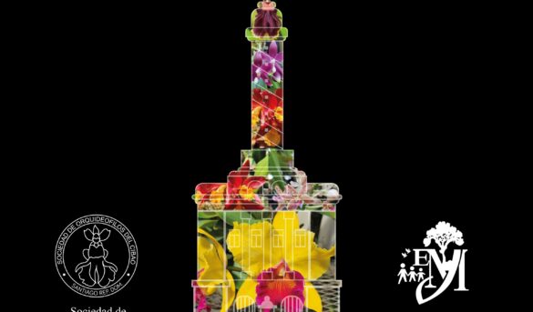 SANTIAGO: Festival de las orquídeas en el Jardín Botánico
