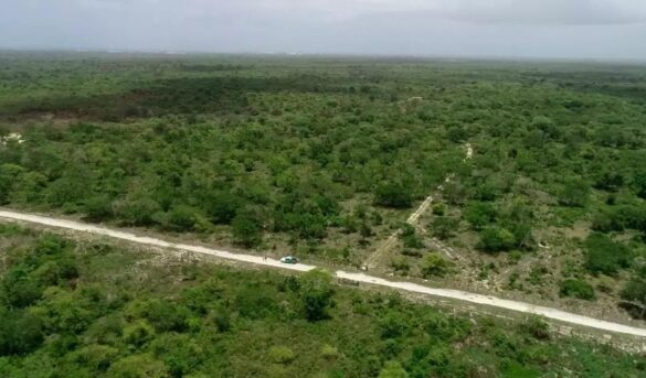 Suprema Corte de Justicia falla nuevamente contra Aeropuerto de Bávaro