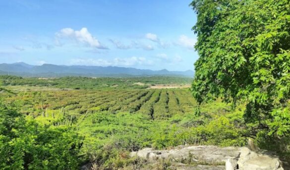 Santuario San Martin de Porres, centro del turismo religioso y cultural en Baní