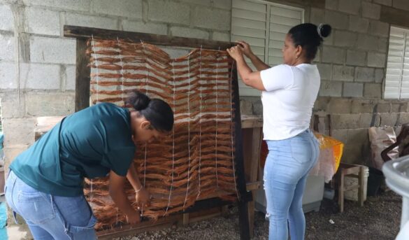 Mantas de coco, un negocio que fomenta el desarrollo económico de Hatillo