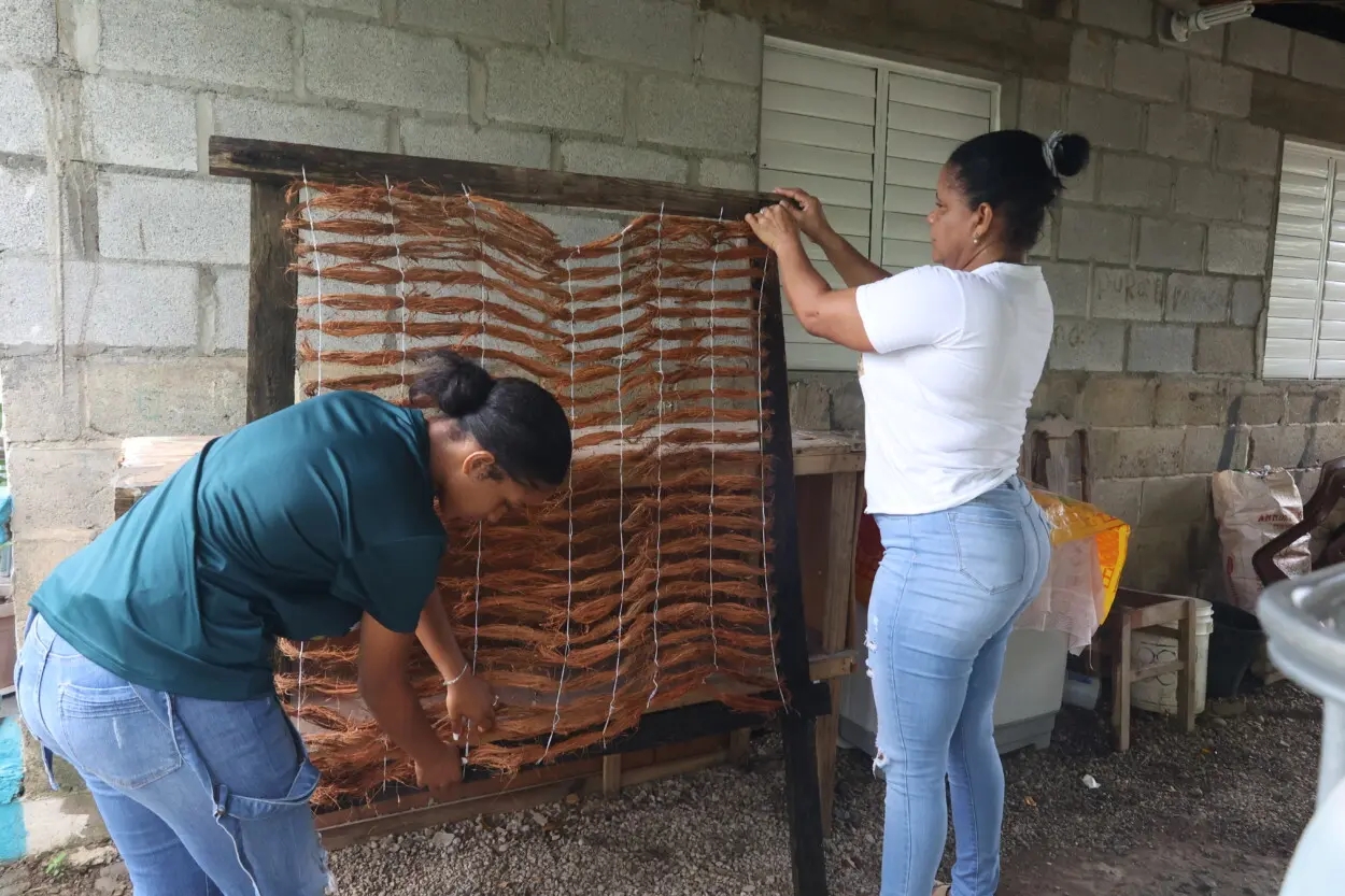 Mantas de coco, un negocio que fomenta el desarrollo económico de Hatillo