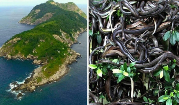 Seis lugares prohibidos del mundo para visitar: algunos son extremadamente peligrosos