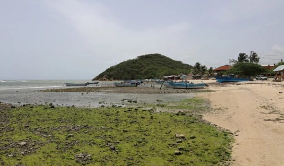 La tierra y el mar: playa Buen Hombre, un paraíso a punto de desaparecer