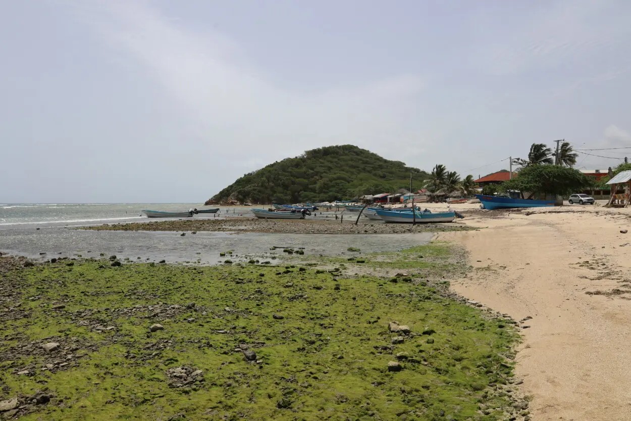 La tierra y el mar: playa Buen Hombre, un paraíso a punto de desaparecer